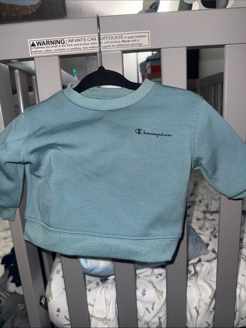 Champion Kids Sage Green Crewneck Sweatshirt and Joggers